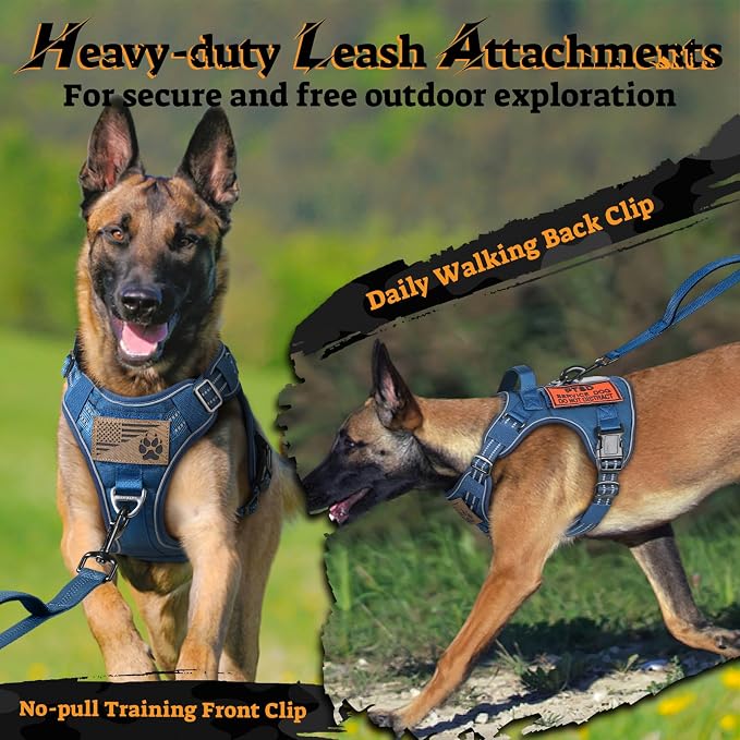 rabbitgoo Tactical Dog Harness for Small Dogs No Pull Adjustable Military Vest with Handle MOLLE Reflective Heavy Duty Dog Vest for Walking Training Hunting Outdoor Working Medium Size Dog Blue S