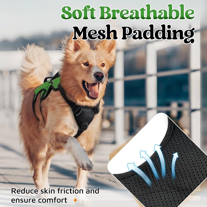 rabbitgoo Escape Proof Dog Harness, Soft Padded Full Body Pet Harness, Reflective Adjustable No Pull Vest with Lift Handle and Lesh Clip for Large Dogs Walking Hiking Training, L, Green