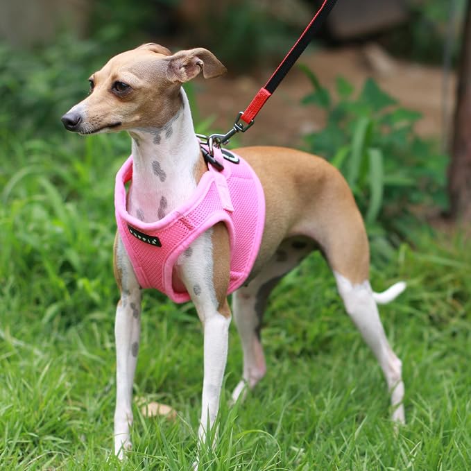 PUPPIA International Puppia Harness Soft B Vest Pink XXLarge