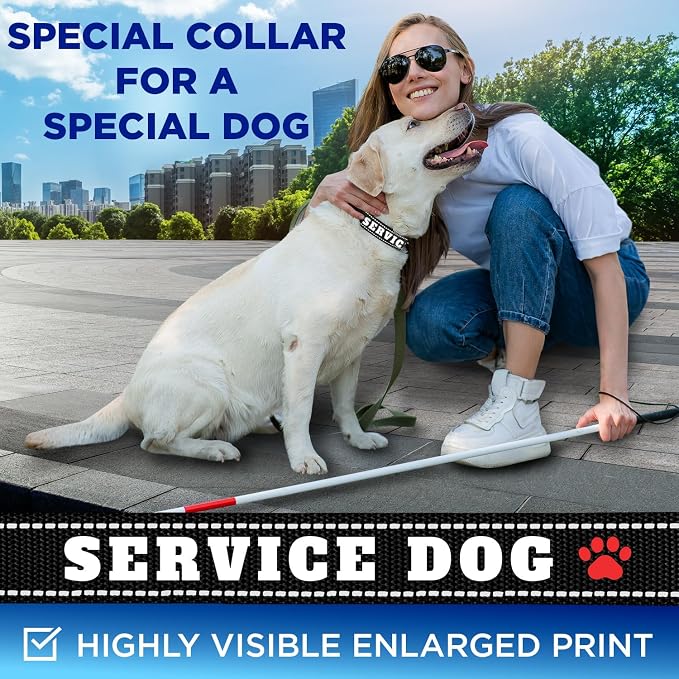 TECEUM Reflective Pet Collar – Black - Service Dog – M – Extra Soft Padding – Basic Nylon Dog Collar – Quick Release Buckle – Fits Small, Medium and Large Dogs, Puppies, Cats