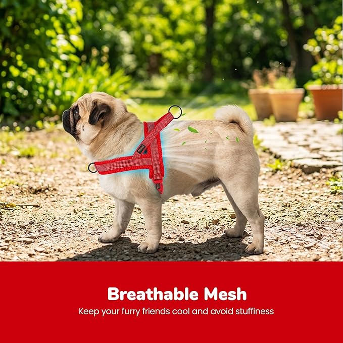 Didog No Pull Dog Harness with Breathable Mesh Padded, Full Reflective & Quick Fit Adjustable Vest Harness, Easy for Training Walking for Small & Medium and Large Dogs (Red, M:Chest 21-26")