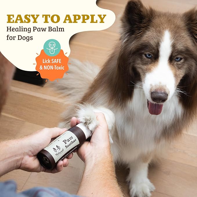 Natural Dog Company Paw Balm & Wax Bundle, Paw Soother + PawTection, Protects & Heals Dry, Cracked Dog Paw Pads, Paw Pad Protector for Exteme Weather, Lick-Safe, Coconut Oil, 2oz Sticks