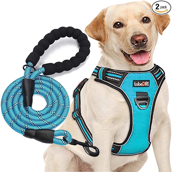 tobeDRI No Pull Dog Harness Adjustable Reflective Oxford Easy Control Medium Large Dog Harness with A Free Heavy Duty 5ft Dog Leash (S (Neck: 13"-18", Chest: 17.5"-22"), Blue Harness+Leash)