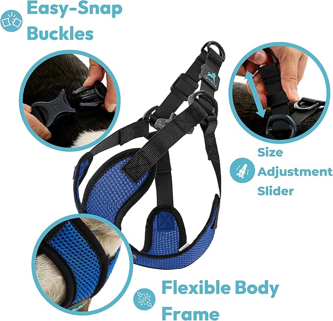 Gooby Comfort X Step in Lite Dog Harness - Choke Free, Escape Free with Light Breathable Mesh - Step in Dog Harness for Small Dogs Only - Quick Release Buckle, Metal D-Rings - Turquoise, Large