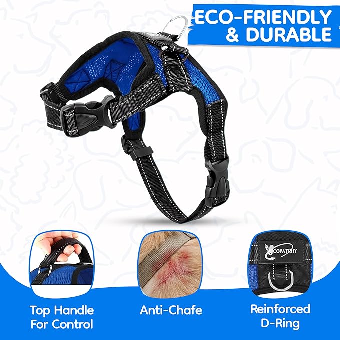 No Pull Reflective Adjustable Dog Harness With Handle- Comfortable Soft All Weather Mesh, Easy On Puppy Harness For Small Medium and Large Dogs (Blue) X-Small