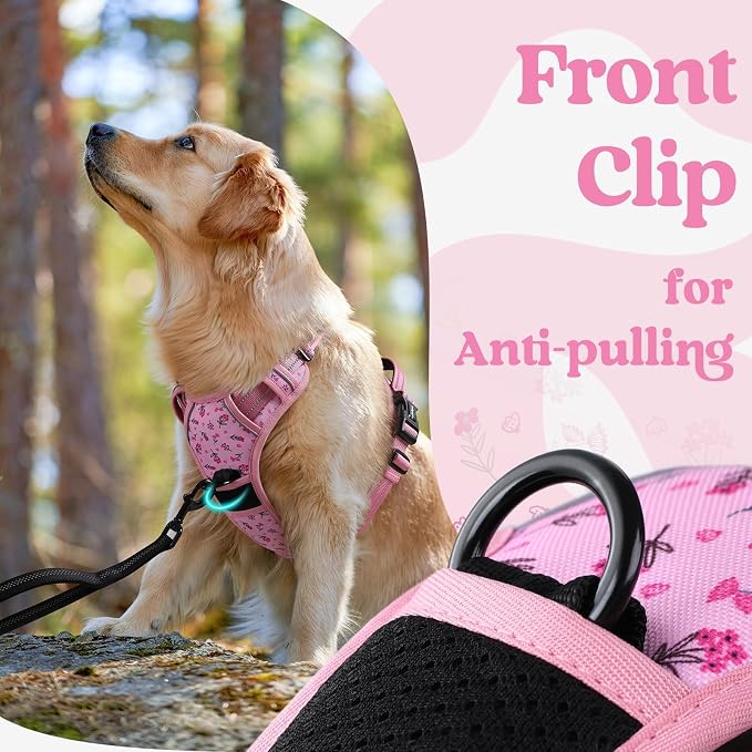 rabbitgoo Dog Harness Small Sized, No Pull Easy On & Off with 3 Buckles Pet Harness, Adjustable Soft Walking Vest with 2 Clips and Handle, Reflective for Small Dogs, Floral Pink, S