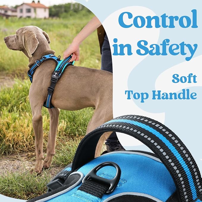 rabbitgoo Dog Harness for Large, No Pull Easy On & Off with 3 Buckles Pet Harness, Adjustable Soft Walking Vest with 2 Clips and Handle, Reflective for Large Dogs, Sky Blue, L