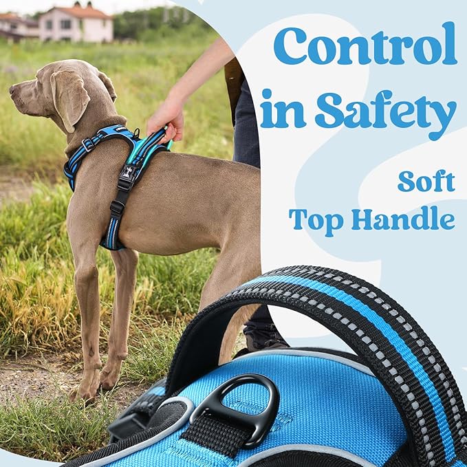 rabbitgoo Dog Harness for Large, No Pull Easy On & Off with 3 Buckles Pet Harness, Adjustable Soft Walking Vest with 2 Clips and Handle, Reflective for Extra Large Dogs, Sky Blue, XL