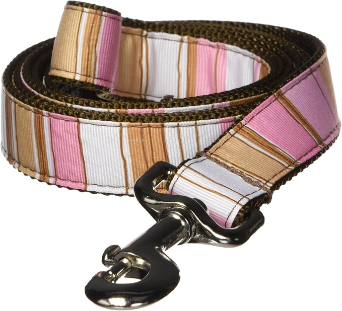 Large Brown/Multi Stripe Dog Leash: 1" Wide, 6ft Length - Made in USA.