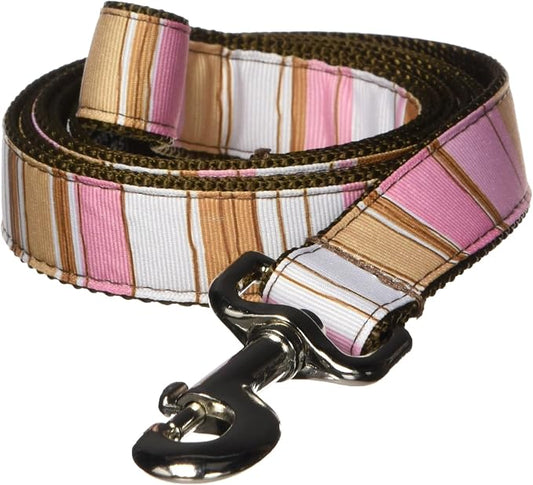Large Brown/Multi Stripe Dog Leash: 1" Wide, 6ft Length - Made in USA.