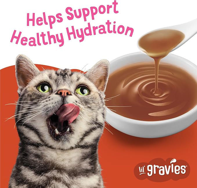 Friskies Purina Lil' Gravies Savory Salmon Flavor Cat Food Complement Lickable Cat Treats - 1.55 oz. Pouches,(Pack of 32)