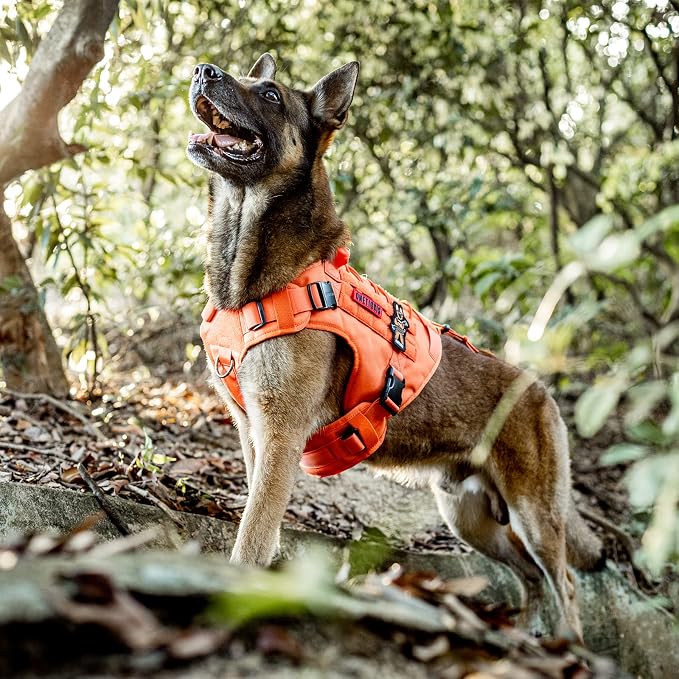 OneTigris FIRE Watcher 2.0 No-Pull Dog Harness with Handle - Adjustable Service Dog Vest for Large Medium Dogs (S, Orange)