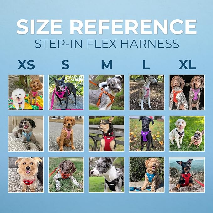 Best Pet Supplies Voyager Adjustable Step-in Flex Breathable Mesh Dog Harness for Small Medium Large Dogs Leash Set (Orange), M