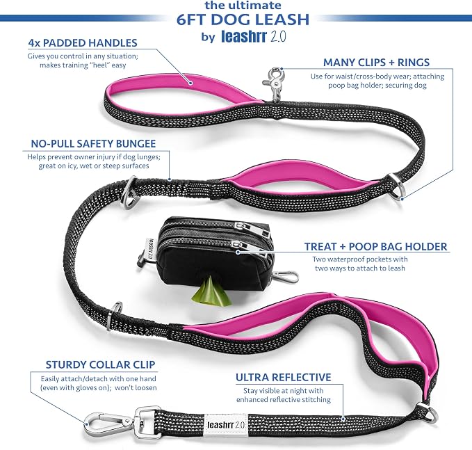 Heavy Duty Dog Leash for Large Dogs – 6FT Reflective Bungee with Padded Handles, Strong Carabiner Clip, No Pull Control for Medium & Large Breeds, Includes Poop Bag Holder & Treat Pouch (Orange)