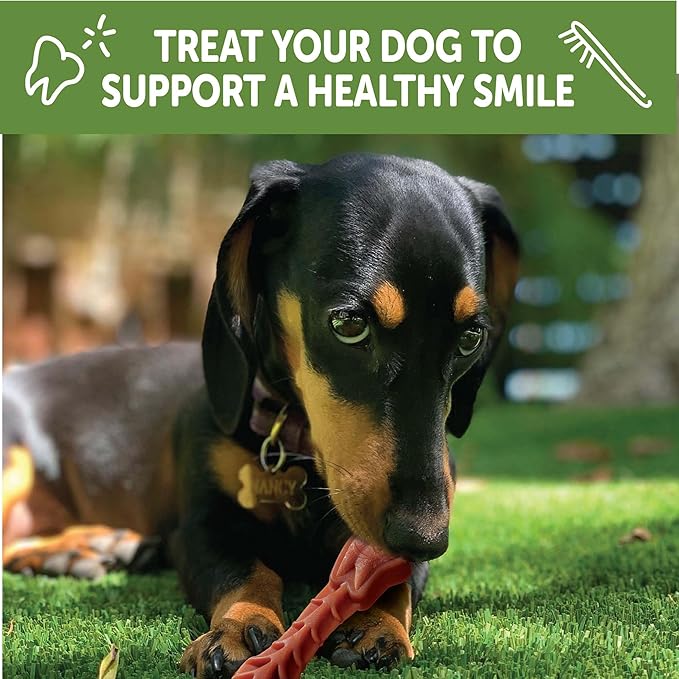 Wellness WHIMZEES Daily Brushzees Natural Dog Dental Treat, VOHC Accepted Chews, Freshens Breath, Extra-Small Size, 7.4 oz Bag, 28 Count