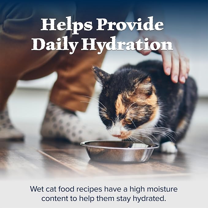 Blue Buffalo Wilderness Wild Delights Meaty Morsels Wet Cat Food,High-Protein & Grain-Free,Made with Natural Ingredients,Chicken & Turkey Recipe in Tasty Gravy,3-oz. Cans,(Pack of 48)