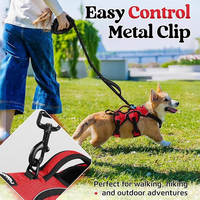 rabbitgoo Escape Proof Dog Harness, Soft Padded Full Body Pet Harness, Reflective Adjustable No Pull Vest with Lift Handle and Leash Clip for Large Dogs Walking Hiking Training, S, Red
