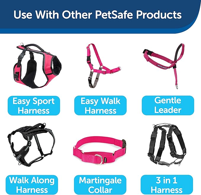 PetSafe Nylon Dog Leash Strong, Durable, Traditional Style Lead with Easy to Use Bolt Snap for Small, Medium and Large Dogs 3/4 in. x 6', Raspberry