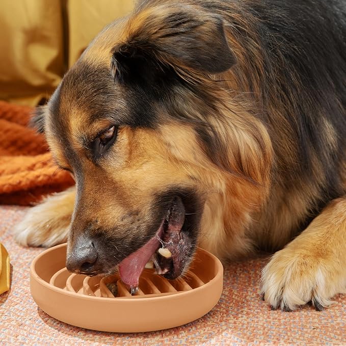 Should We Go? Slow Feeder Dog Bowls - Medium Size Silicone Slow Eating Dog Bowl for Puppies & Dogs with Suction Cup -Dishwasher-Safe,Lick Mat Design,Reduces Gulping,for All Breeds,6”x1.25”-Terracotta