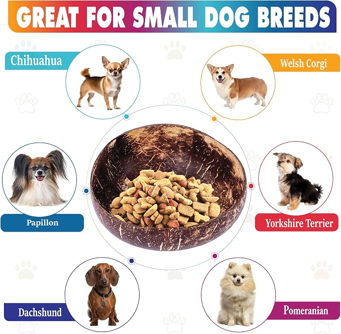 Raised Dog Bowl for Small Dogs - Elevated Natural Coconut Shell Bowl with Wood Stand - 20-oz Capacity