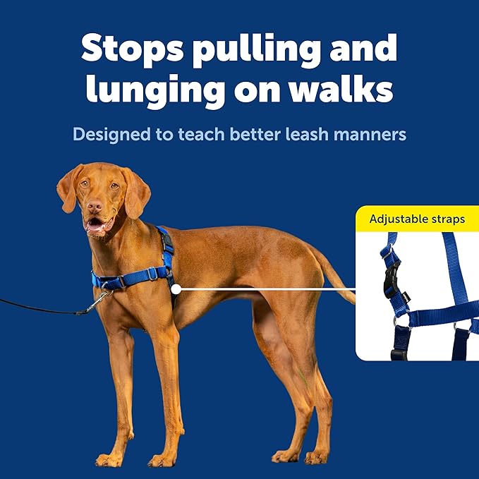 PetSafe Easy Walk No-Pull Dog Harness - Ultimate Harness to Help Stop Pulling - Pull-Free Walks - Take Control & Teach Better Leash Manners - Patented Martingale Loop Design - Royal Blue, Medium