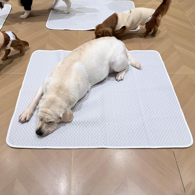 Dog Cooling Mat 46"x36" for Large Dogs - Q-Max 0.4+ Ice-Silk Fabric, Waterproof & Machine Washable, Non-Slip Portable Pet Cooling Pad for Crate, Indoor & Outdoor Use (L)