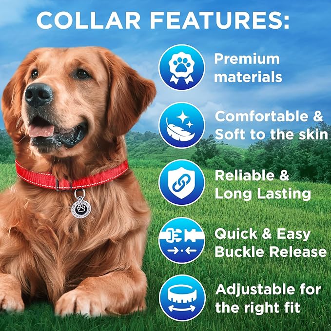 TECEUM Reflective Dog Collar – Red – XXS – Extra Soft Padding – Basic Nylon Pet Collar – Quick Release Buckle – Fits Small, Medium and Large Dogs, Puppies, Cats – ESA & Service Dog Options