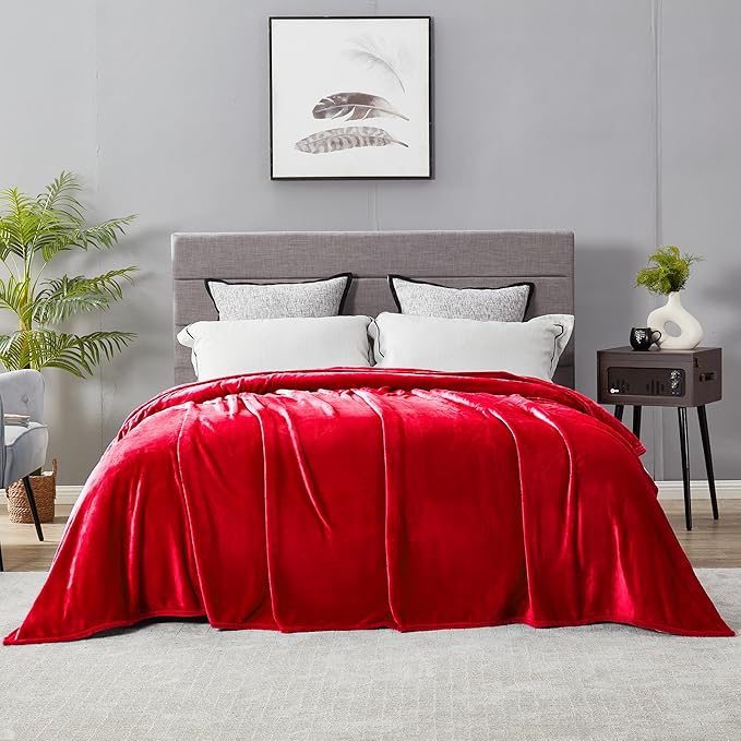 DREAMNINE Ultra Large Soft Fuzzy Flannel Fleece Blanket Queen Size 90" x 90", Decorative Solid Lightweight Fluffy Velvet Bed Blanket,Luxury Big Cute Cozy Shag Plush Microfiber Blankets for Bedroom,Red