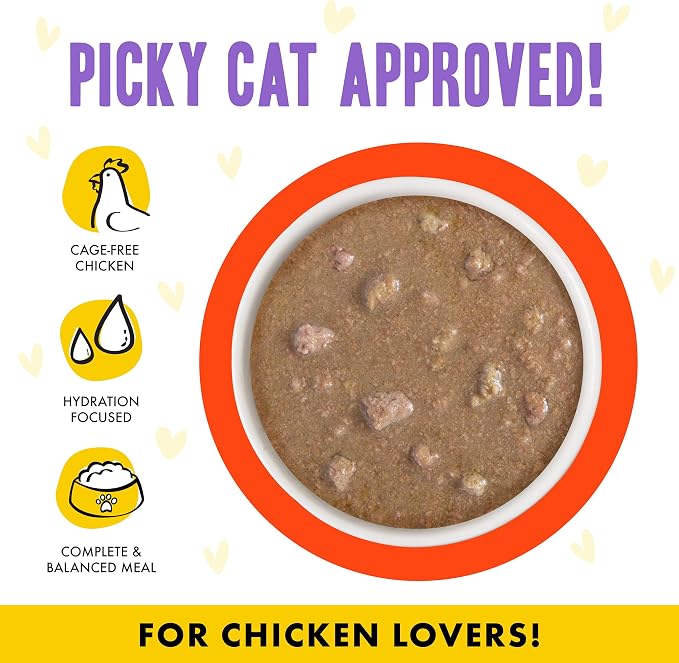 Weruva B.F.F. OMG - Best Feline Friend Oh My Gravy!, Chicken & Salmon Stir It Up with Chicken & Salmon in Gravy, 2.8oz Can (Pack of 12)