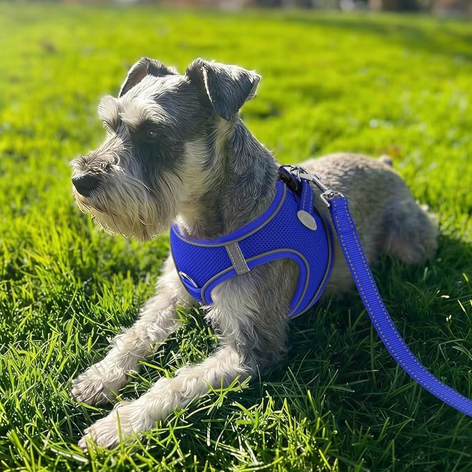 Joytale Small Dog Harness, Breathable Mesh Step-in Vest, Reflective Soft Padded Harnesses Small Sized Dog for Walking, Navy Blue, S