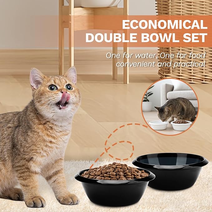 2PCS Cat Bowls Pet Feeding Dish 6.3 Inch, Wide Pet Bowl Pet Feeding Bowl for Indoor Cats, Replacement Food and Water Bowl, Wide Shallow Feeder Bowls for Kitten, Puppy, Rabbit (Black)