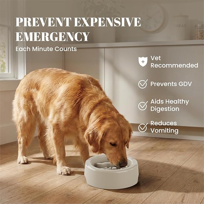 AVERYDAY 3 Pack Slow Feeder Dog Bowl Set, Two Weighted Maze Insert Bowls, Anti-Slip Changeable Puzzle Feeding Bowl for Wet Dry & Raw Dog Food, Slow Eating Deep Pet Food Dish for Medium & Large Breeds
