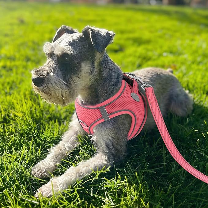 Joytale Small Dog Harness, Breathable Mesh Step-in Vest, Reflective Soft Padded Harnesses for Small and Medium Dogs, Pink, M