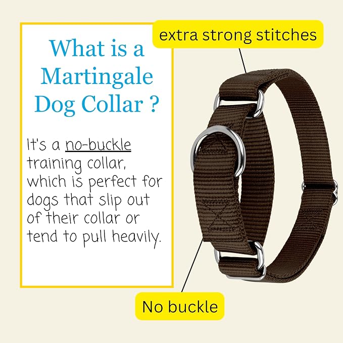 Country Brook Petz - Martingale Dog Collar - Heavy-Duty Training Collar with No Buckle - Service Dog Collar for All Pups - 20 Vibrant Colors (Brown, 1 Inch, Large)