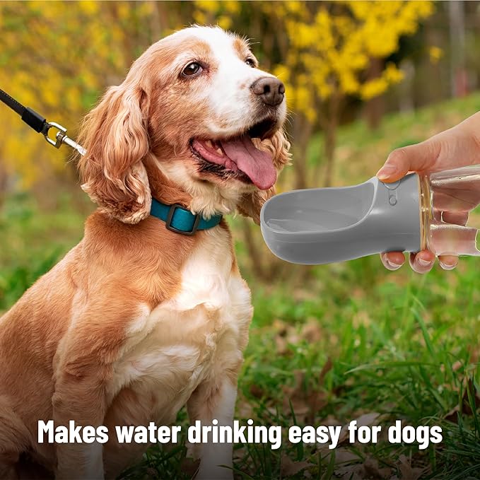 Mr. Pen- Portable Dog Water Bottle, 19 oz, Large, Leak Proof Puppy Water Dispenser with Drinking Feeder for Pets, Outdoor Walking, Hiking, Travel, Not Dishwasher Safe