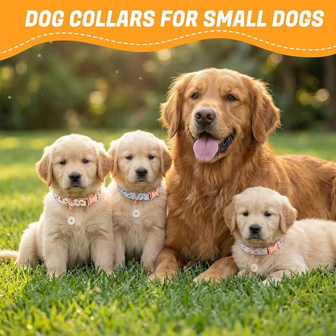 3 Pack Floral Dog Collars for Small Dogs Flower Dog Collars with Pendant for Girl Female Dogs Cute Puppy Pet Collar