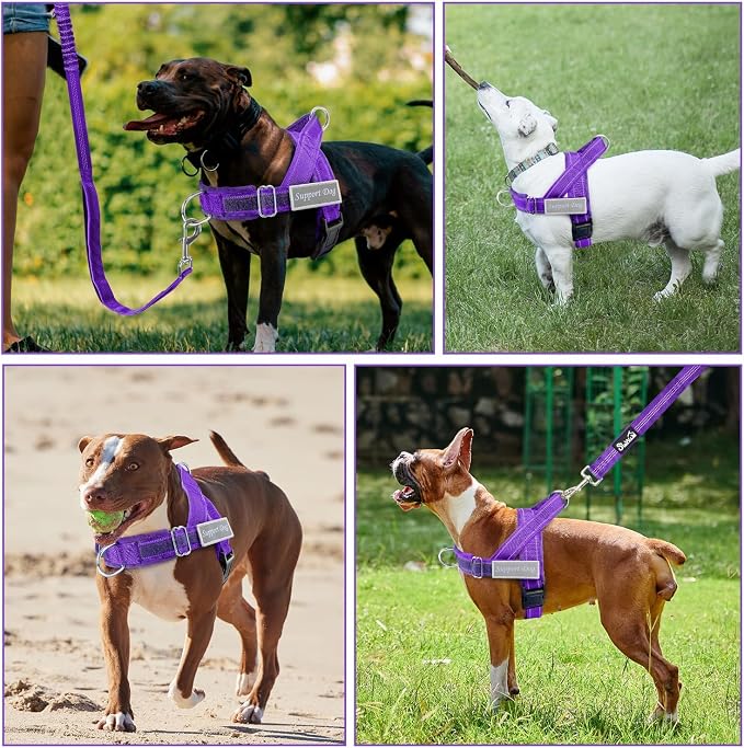 SlowTon No Pull Dog Harness - Heavy Duty Dog Harness and Leash Set for Medium Large Dogs, Reflective Tactical Harness with Soft Padded and Front Clip for Easy Walk and Training (Purple, XL)