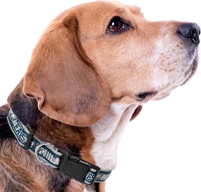 Pets First NFL Philadelphia Eagles Licensed PET COLLAR, Medium - Heavy-Duty, Strong, and Durable Dog Collar. Available in 31 Football Teams and 4 Sizes
