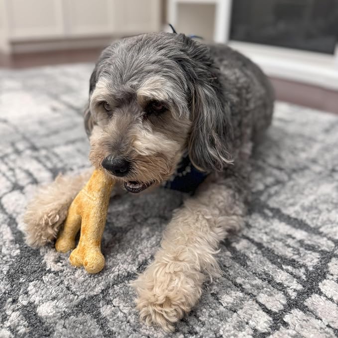 Fieldcrest Farms Nothin' to Hide Collagen-Based Dog Chews, Wishbone, Chicken Flavor, Ultra-Premium, for Dogs Over 50lbs, Easily Digestible, Supports Skin, Coat, Joints & Muscles, 7-Inch, 2 Pieces