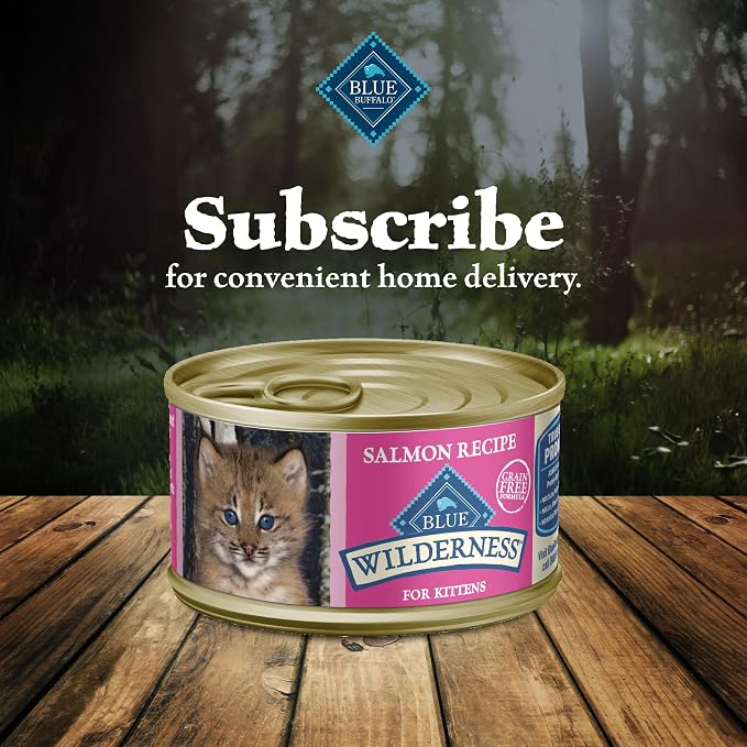 Blue Buffalo Wilderness Kitten Grain-Free Salmon Paté Wet Cat Food with DHA, High-Protein & Made with Natural Ingredients, Supports Healthy Growth & Development, 3-oz. Cans (24 Count)