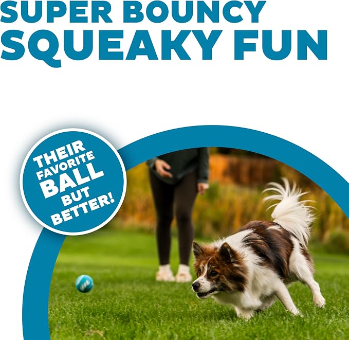 Outward Hound Squeaker Ballz – Squeaky Tennis Balls for Dogs Under 25 lbs, Interactive Dog Toy for Fetch & Training, Small (2"), 4‑Pack