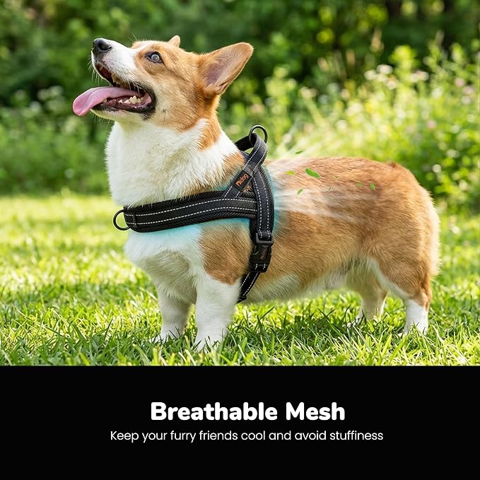 Didog No Pull Dog Harness with Breathable Mesh Padded,Reflective & Quick Fit Light Weight Dog Strap Vest Harness,Easy for Walking Training (M:Chest 21-26", Mesh-Black)