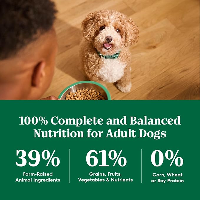 Nutro Natural Choice Small Bites Dry Dog Food, Adult Dog Food Dry Lamb and Brown Rice Recipe, 12 lbs.