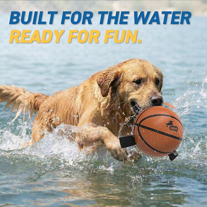 QDAN Dog Ball Basketball Toys, Balls with Straps, Dog Water Toy Pool Toys for Small Medium Dogs (6 Inch)