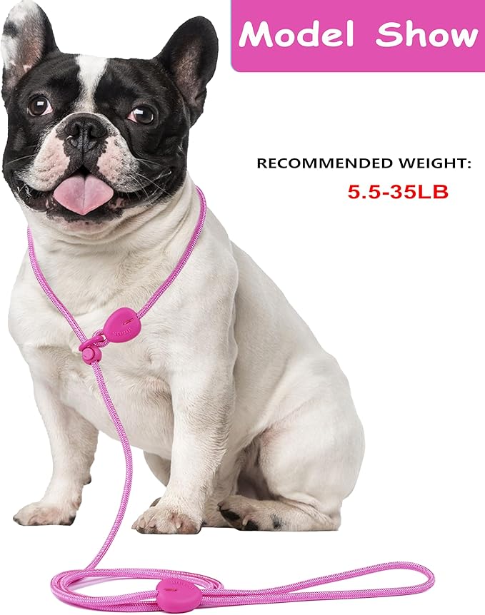 6FT Dog Training Leash - Slip Lead for Small & Medium Dogs - Strong, Lightweight, No Pull - Comfortable Loop (D-Pink, 6FT)
