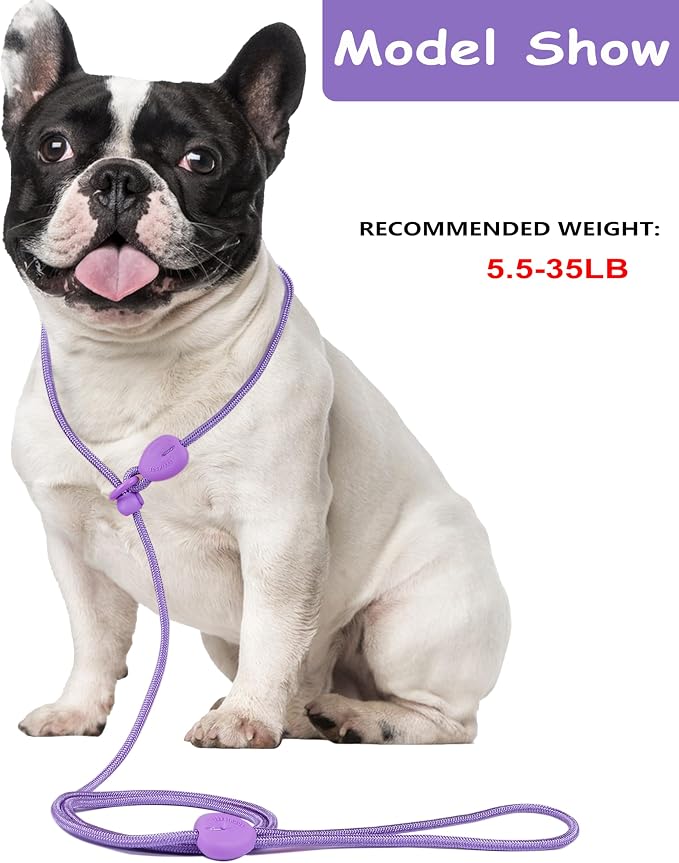 Purple 6FT No Pull Dog Training Leash - Lightweight Slip Lead for Small Medium Dogs