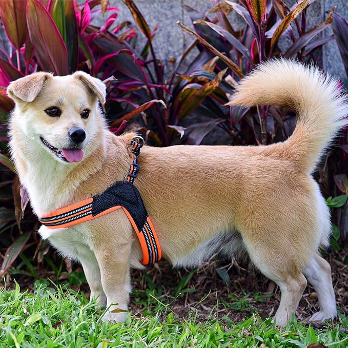 Dog Harness No Pull Ultra Soft Breathable Padded Pet Harness 2 Adjustable Botton, 3M Reflective Pet Harness for Dogs Easy Control for Small Medium Large Dogs (M, Bright Orange)