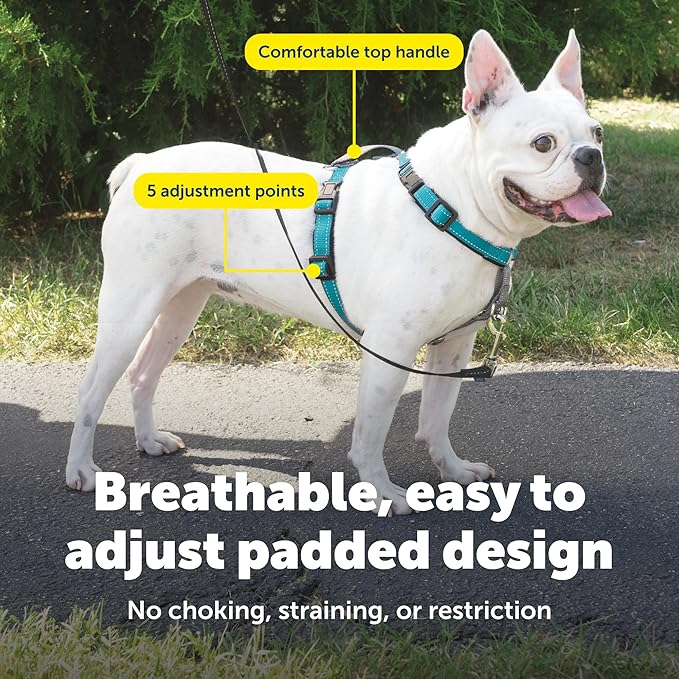 PetSafe 3 in 1 No-Pull Dog Harness for Small Dogs - Walk, Train or Travel - Helps Pets from Pulling on Walks - Seatbelt Loop Doubles as Quick Access Handle - Reflective- Small, Teal