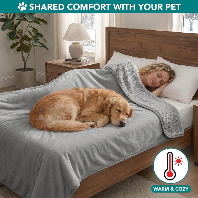 PETAMI Sherpa Fleece Waterproof CAT and Dog Blanket, Light Gray, Queen