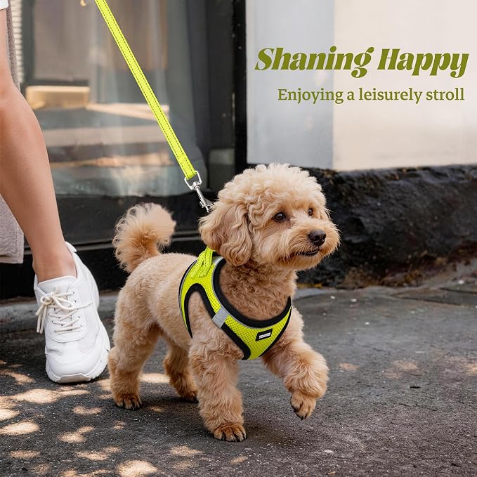 YIMEIS Dog Harness and Leash Set, No Pull Soft Mesh Pet Harness, Reflective Adjustable Puppy Vest for Small Medium Large Dogs, Cats (Fluorescent Yellow, Small (Pack of 1)